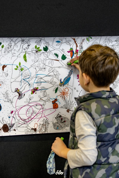 Creativa 2025 — photo 15