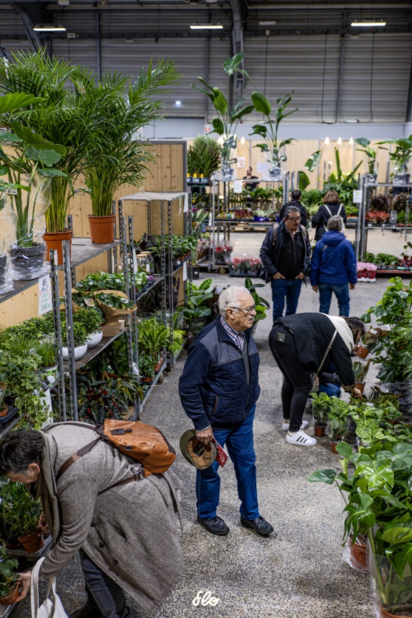 Habitat 2025 — photo 3